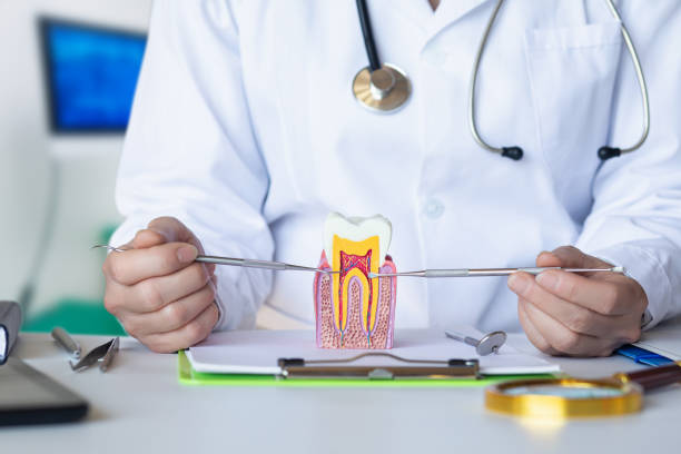 Best After-Hours Emergency Dentist in Fresno, TX